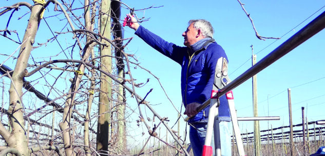 La Guida - Difendere il potere contrattuale degli agricoltori