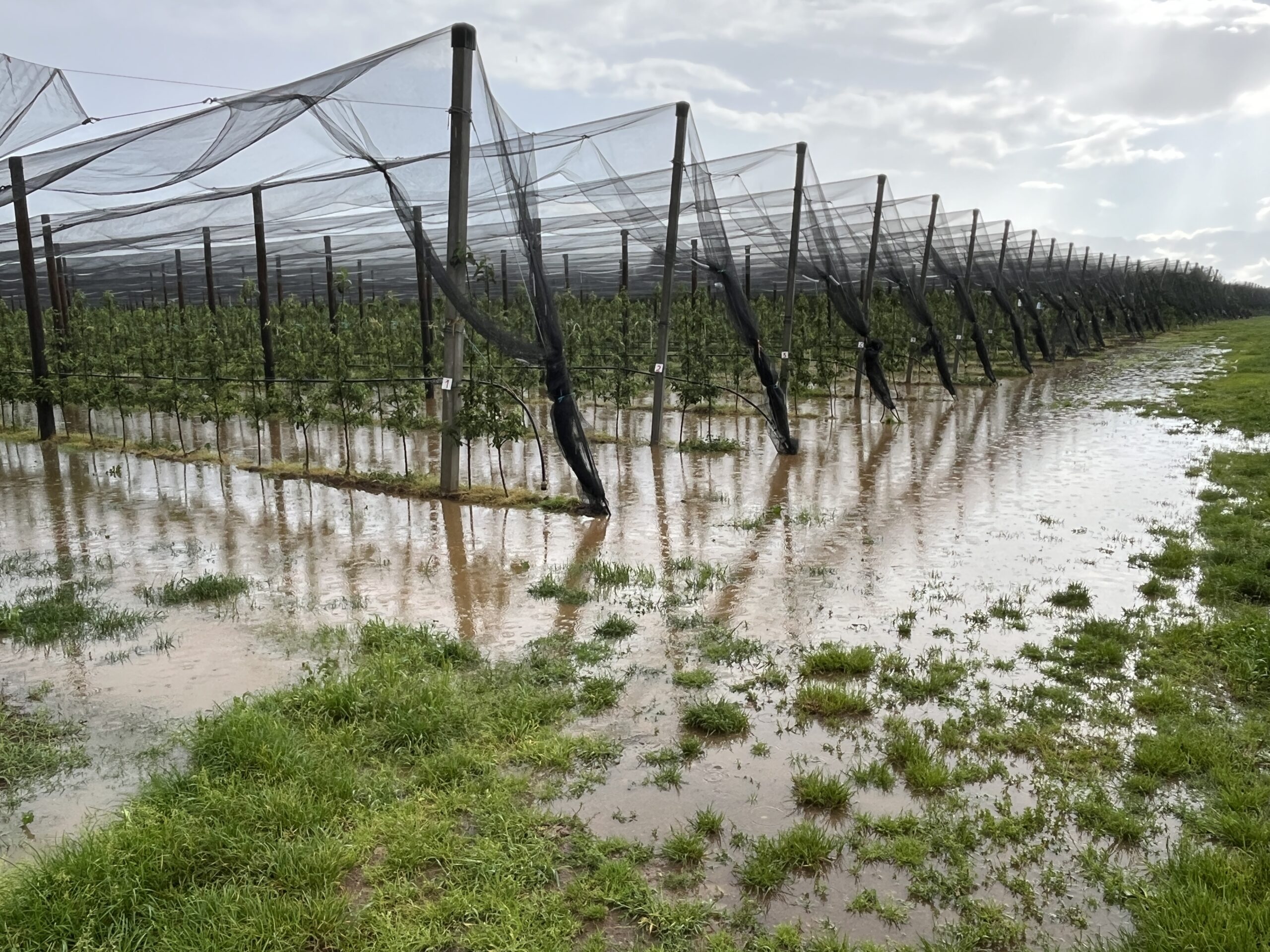 Maltempo e piogge, ancora allerta gialla su parte della Granda