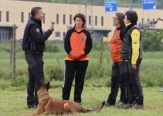 La Guida - I cani da ricerca che salvano le persone: a Cuneo l’International Rescue Dog