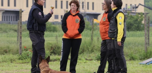 La Guida - I cani da ricerca che salvano le persone: a Cuneo l’International Rescue Dog