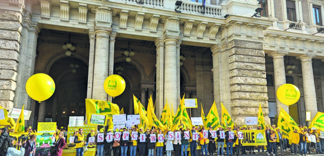 La Guida - Una legge nazionale contro i cibi non naturali