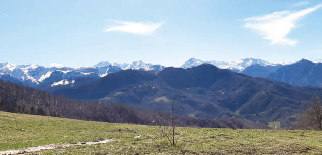 La Guida - In mountain bike o a piedi fino a Prato del Soglio