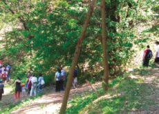 La Guida - A piedi e in mountain bike nei boschi di Pianfei