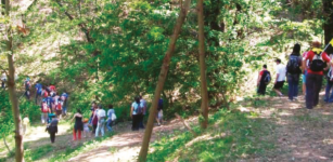La Guida - A piedi e in mountain bike nei boschi di Pianfei