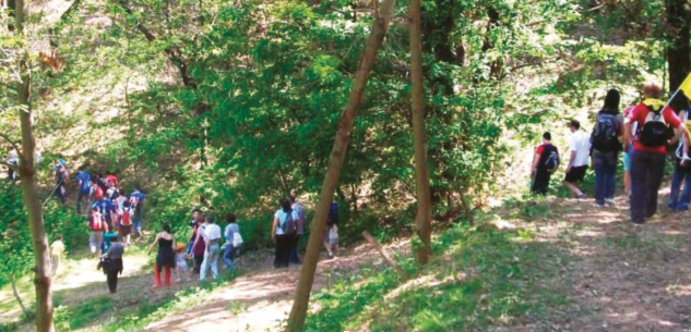 La Guida - A piedi e in mountain bike nei boschi di Pianfei