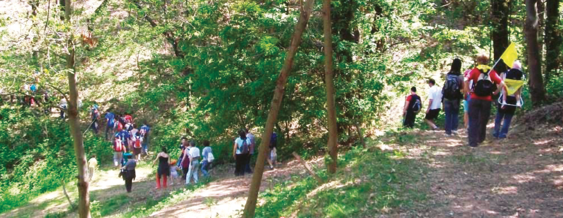 A piedi e in mountain bike nei boschi di Pianfei