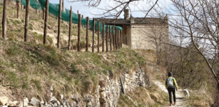 La Guida - Le cappelle di San Salvatore e San Pietro a Macra