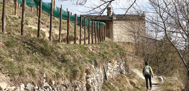 La Guida - Le cappelle di San Salvatore e San Pietro a Macra