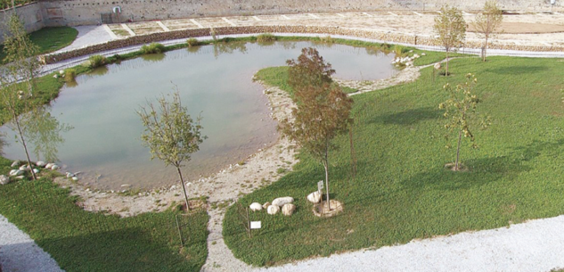 La Guida - Il parco-museo dell’Ingenio, un polo che racconta il lavoro dell’uomo