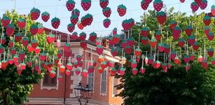 La Guida - A Peveragno il concorso di bellezza Miss Fragola