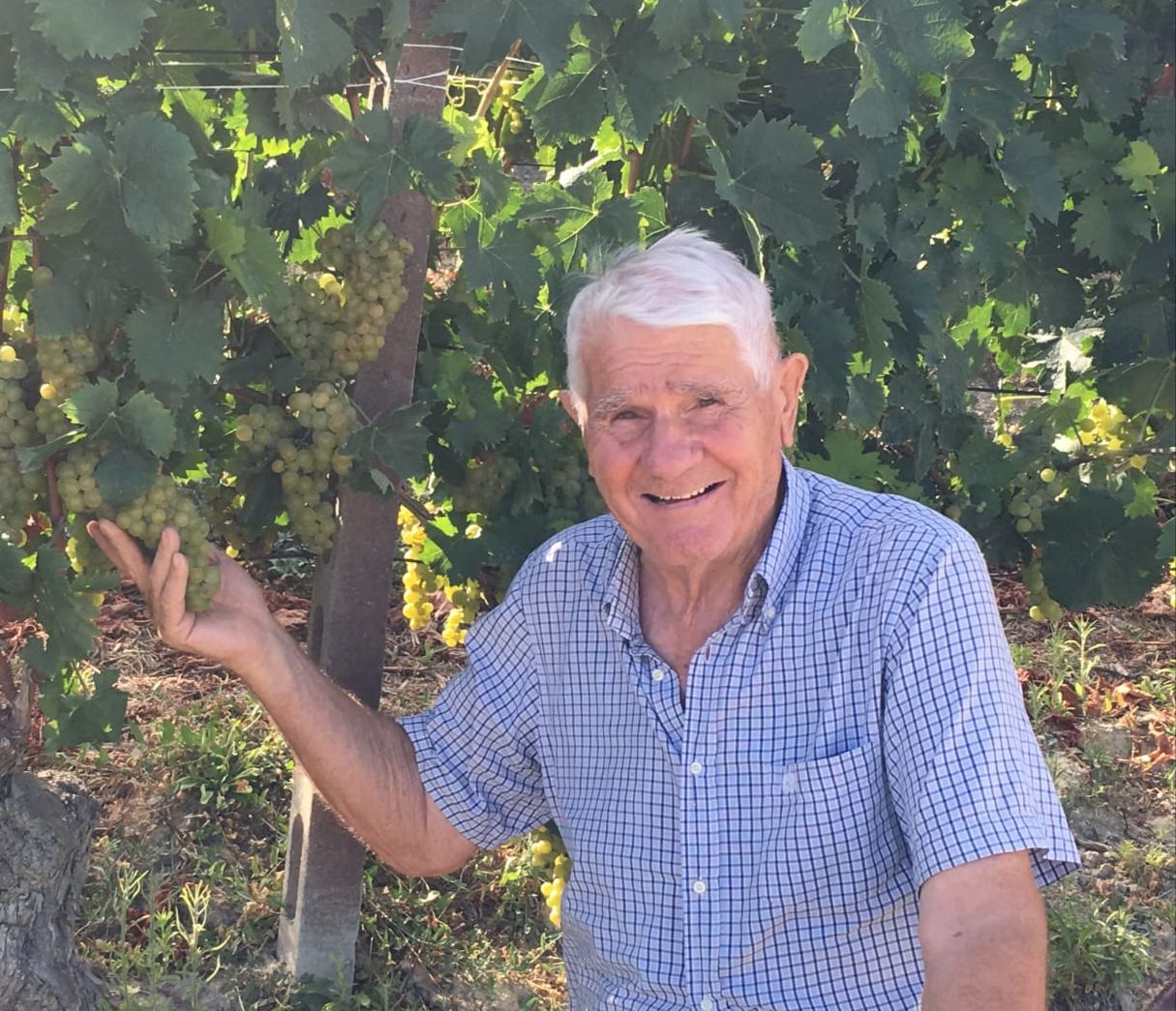 Santo Stefano Belbo: addio ad Adelio Santero, 91enne imprenditore storico del vino