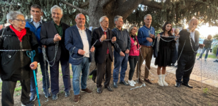 La Guida - Manifestazione, e “incatenamento”, in piazza Europa in difesa dei cedri