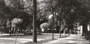 La Guida - Il viale degli Angeli, quasi d’estate