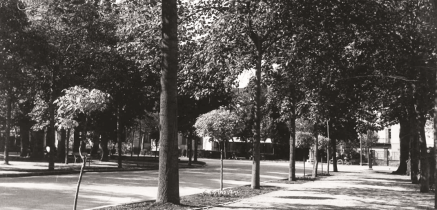 La Guida - Il viale degli Angeli, quasi d’estate