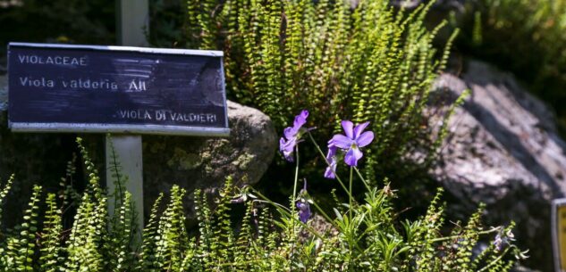 La Guida - Giardini botanici aperti nelle Alpi Marittime