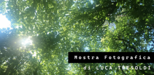 La Guida - “Una rinascita nel bosco”, gli scatti di Luca Tresoldi per raccontare la sua malattia