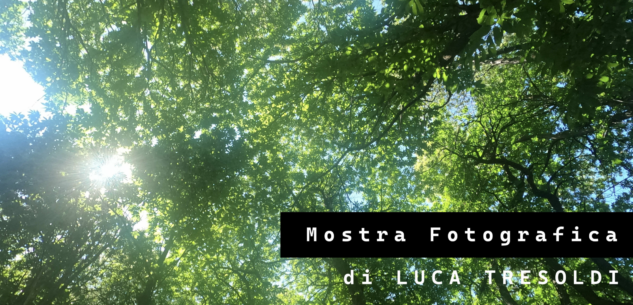 La Guida - “Una rinascita nel bosco”, gli scatti di Luca Tresoldi per raccontare la sua malattia