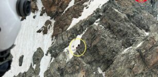 La Guida - Alpinisti bloccati sulla Cresta Est del Monviso (video)