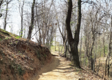 La Guida - Passeggiata ad anello in collina tra Boves e Fontanelle