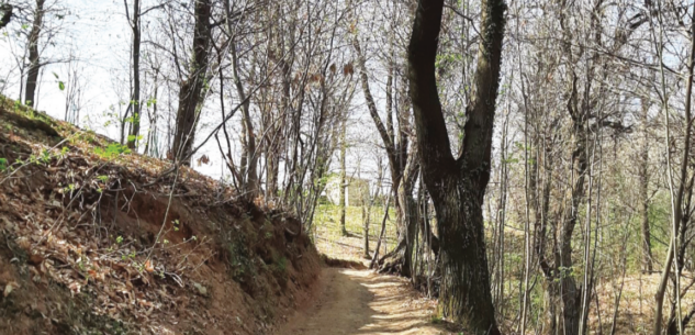 La Guida - Passeggiata ad anello in collina tra Boves e Fontanelle