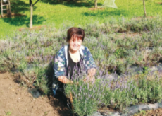 La Guida - “Gocce di lavanda” uno scrigno di erbe e fiori a due passi dal centro