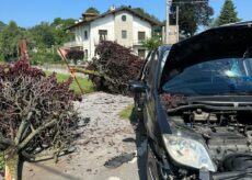 La Guida - Esce di strada in corso Trieste e abbatte due piante