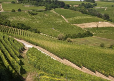 La Guida - I braccianti agricoli in America negli anni ‘20 e quelli della Langa di oggi