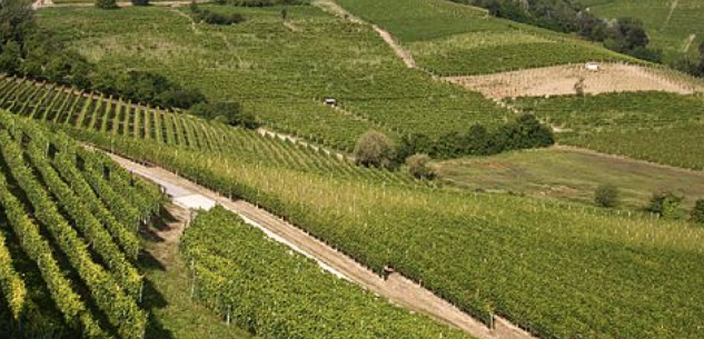 La Guida - I braccianti agricoli in America negli anni ‘20 e quelli della Langa di oggi