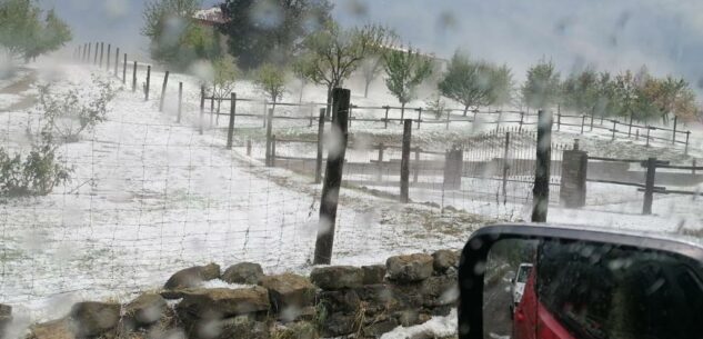 La Guida - É stato prorogato lo stato di emergenza per i territori cuneesi colpiti dalla maxi grandinata del luglio 2023