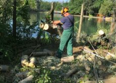 La Guida - Dopo il temporale di ieri diversi sentieri del Parco Fluviale di Cuneo sono stati ostruiti dai rami