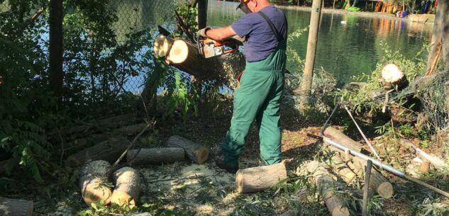 La Guida - Dopo il temporale di ieri diversi sentieri del Parco Fluviale di Cuneo sono stati ostruiti dai rami