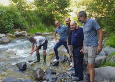 La Guida - Diecimila avannotti di trota marmorata in Val Grande