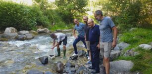 La Guida - Diecimila avannotti di trota marmorata in Val Grande