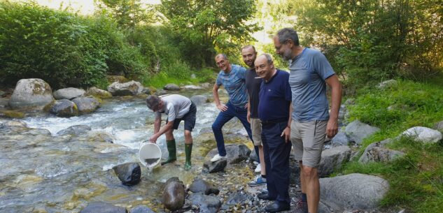 La Guida - Diecimila avannotti di trota marmorata in Val Grande