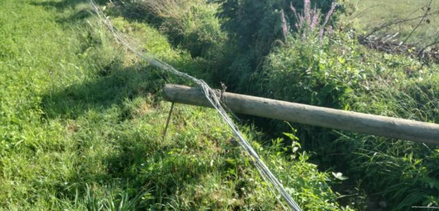 La Guida - Pali del telefono a terra da due mesi, richieste senza risposta