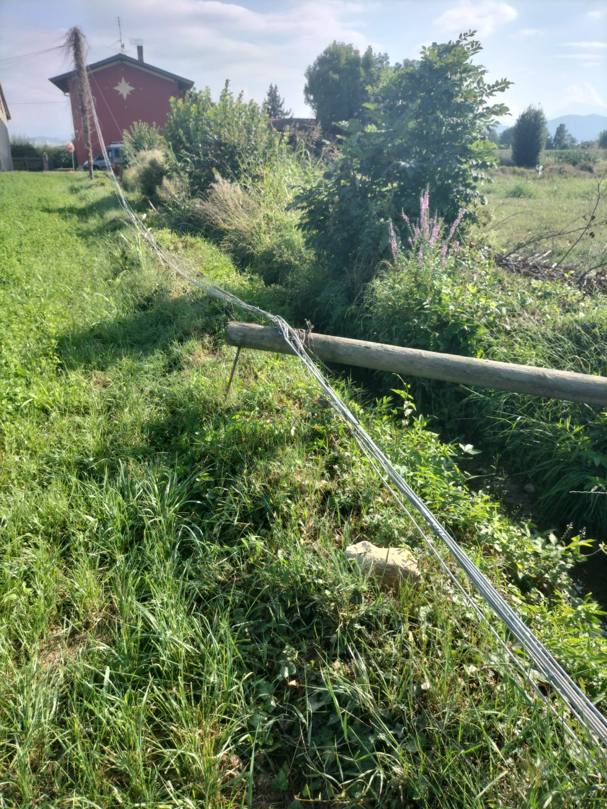 Pali del telefono a terra da due mesi, richieste senza risposta