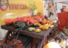 La Guida - Torna la tradizionale Mostra Regionale Ortofrutticola “Città Di Cuneo”