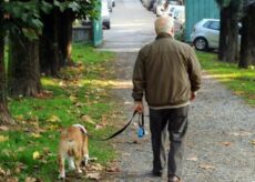 La Guida - A Saluzzo il sacchetto per le deiezioni canine non basta più 