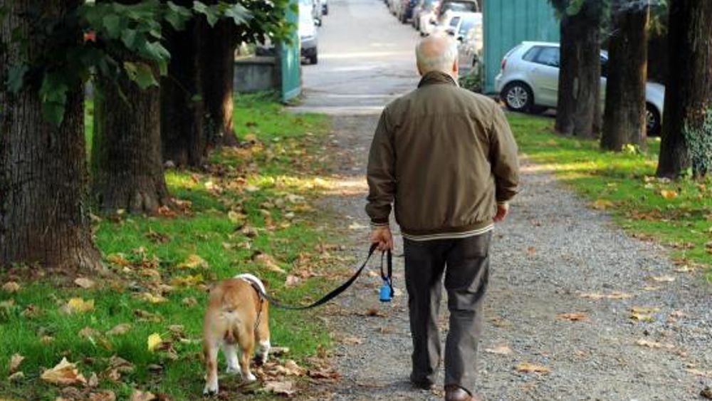 Cane a passeggio con il padrone