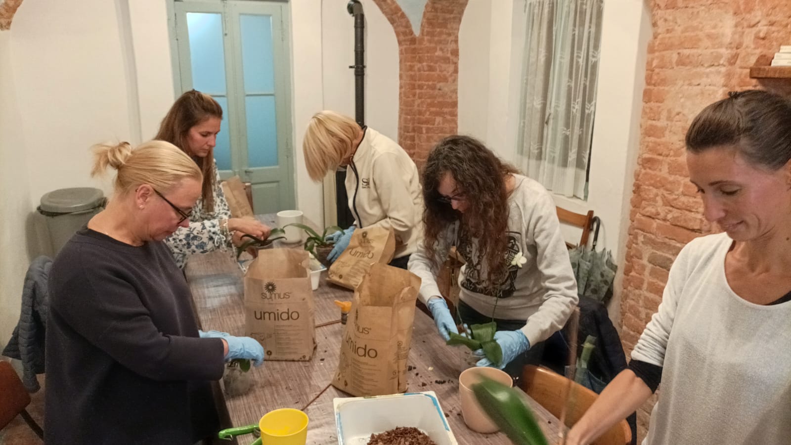 Alla scoperta delle orchidee al santuario di Monserrato