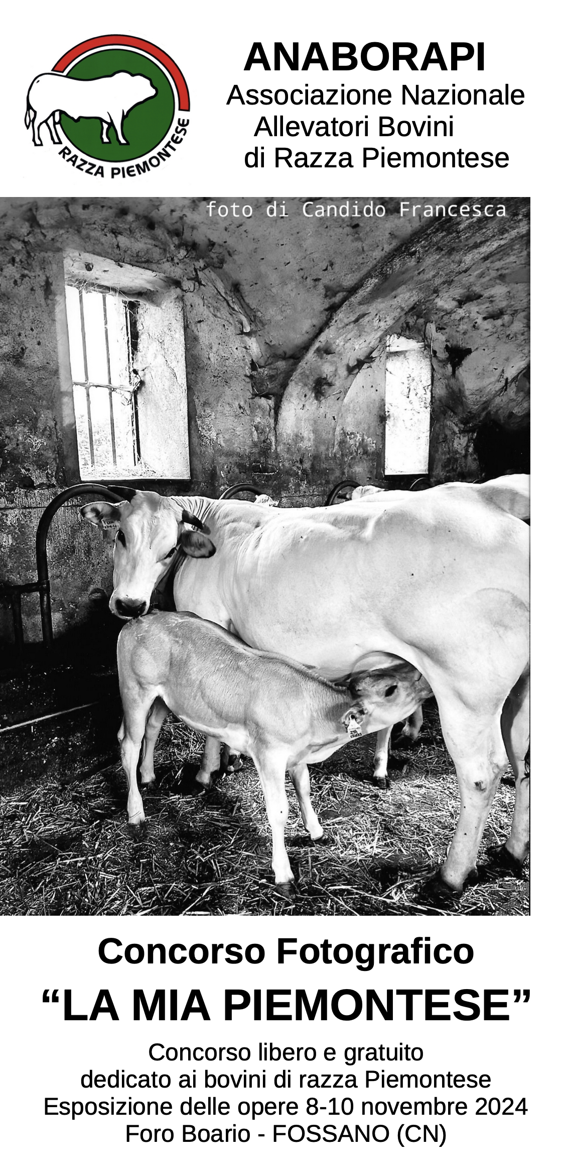 concorso fotografico La mia Piemontese