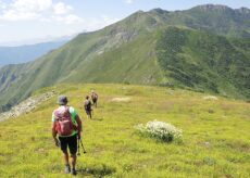 La Guida - Punta Udine e laghi di Luset