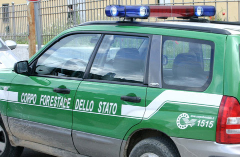 corpo forestale dello Stato