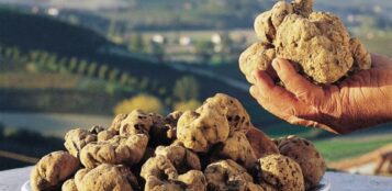 La Guida - Scatta la “cerca” del tartufo in tutto il Piemonte