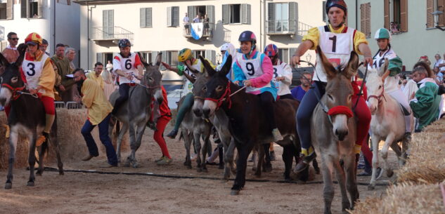 La Guida - Divieti di transito e sosta per il Palio degli Asini