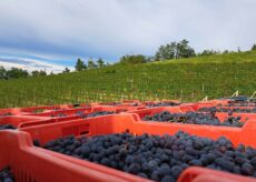 La Guida - Caldarroste e vino con la Cantina Produttori in Clavesana