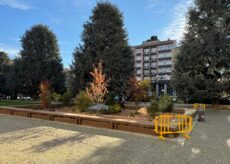 La Guida - Un giardino nella fontana di piazza Europa a Cuneo