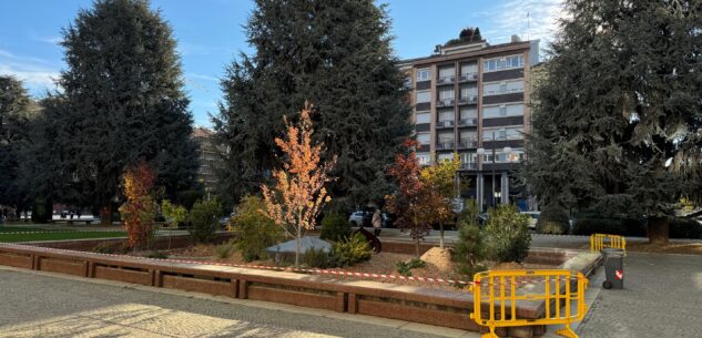 La Guida - Un giardino nella fontana di piazza Europa a Cuneo