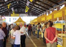 La Guida - A Fossano va in scena il gusto di Coloratissimo Autunno