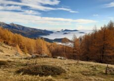 La Guida - Lotti boschivi in Valle Pesio e recuperi ambientali nelle Navette in Val Tanaro